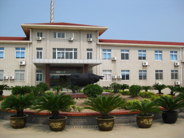 公司后大門2